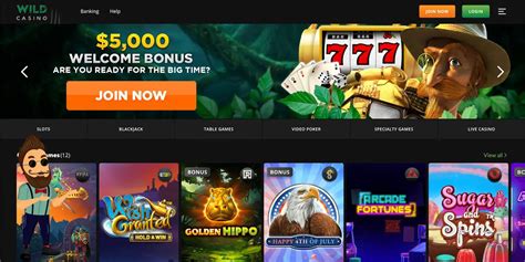 wild cash casino|Wild Casino Review (2024) .